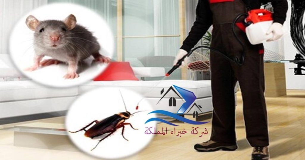 شركة رش مبيدات بالخرج