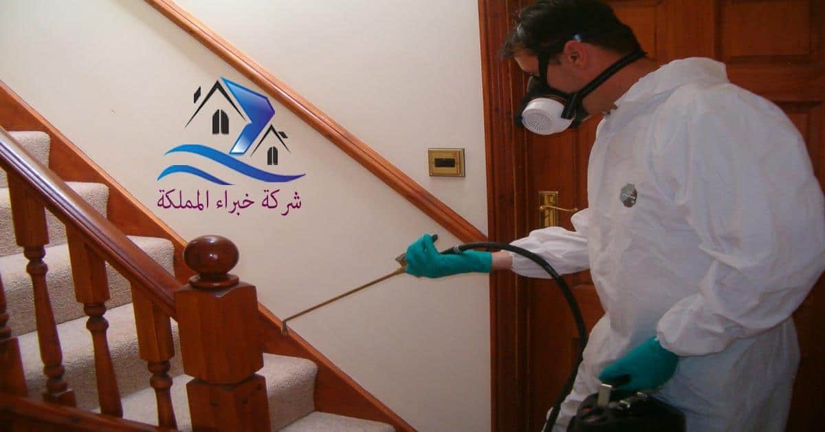 شركة رش مبيدات بالدمام