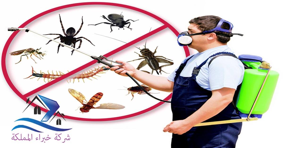 شركة مكافحة حشرات بالباحة