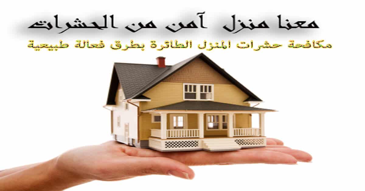 مكافحة حشرات المنزل الطائرة بطرق فعالة طبيعية