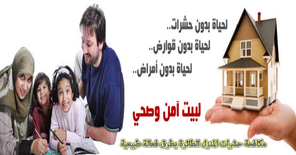 مكافحة حشرات المنزل الطائرة بطرق فعالة طبيعية