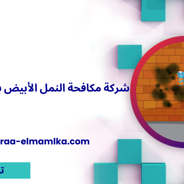 شركة مكافحة النمل الأبيض بخميس مشيط