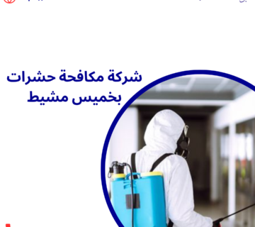 شركة مكافحة حشرات بخميس مشيط