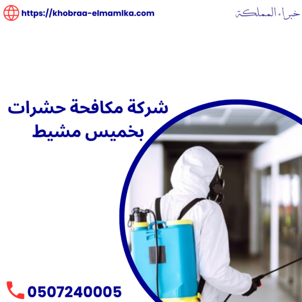 شركة مكافحة حشرات بخميس مشيط