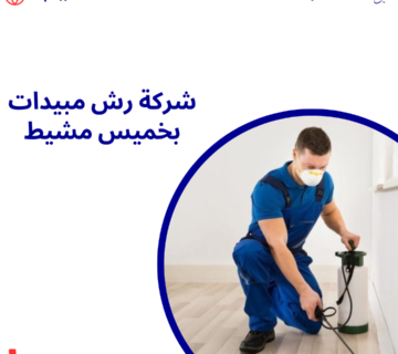 شركة رش مبيدات بخميس مشيط