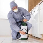 افضل شركة مكافحة الحشرات عمان الاردن